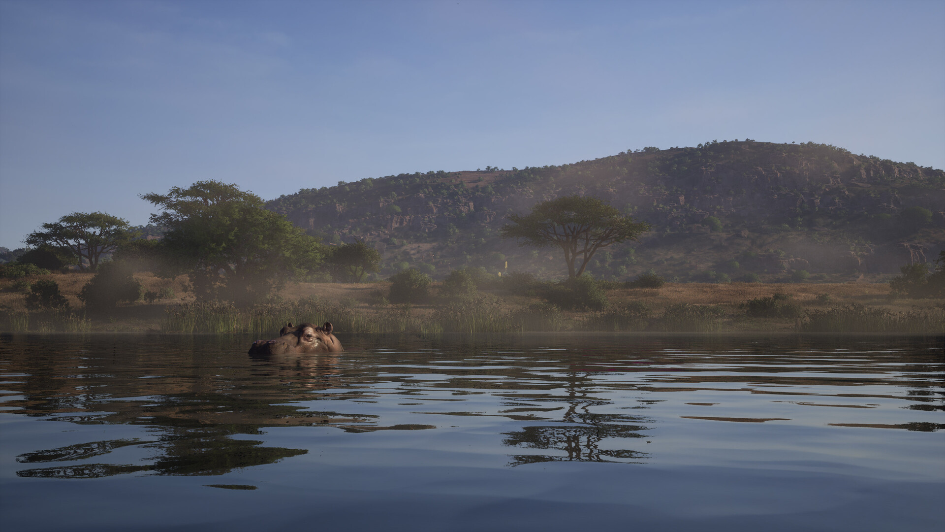Hippos in a river in the Kilimaya Reserve in Way of the Hunter 2