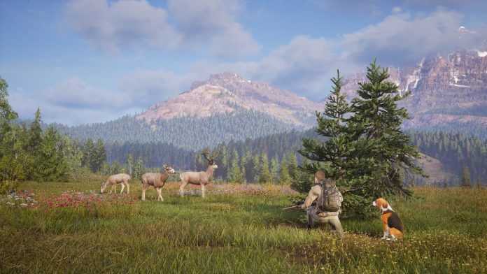 A hunter and dog watching deer in a mountain meadow in Way of the Hunter 2