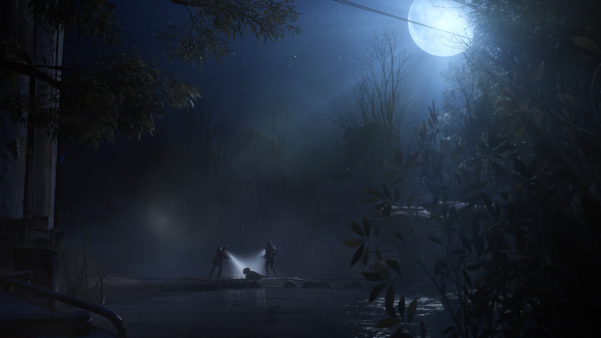 Two Raiders with torches cross a dark, overgrown area under a bright full moon