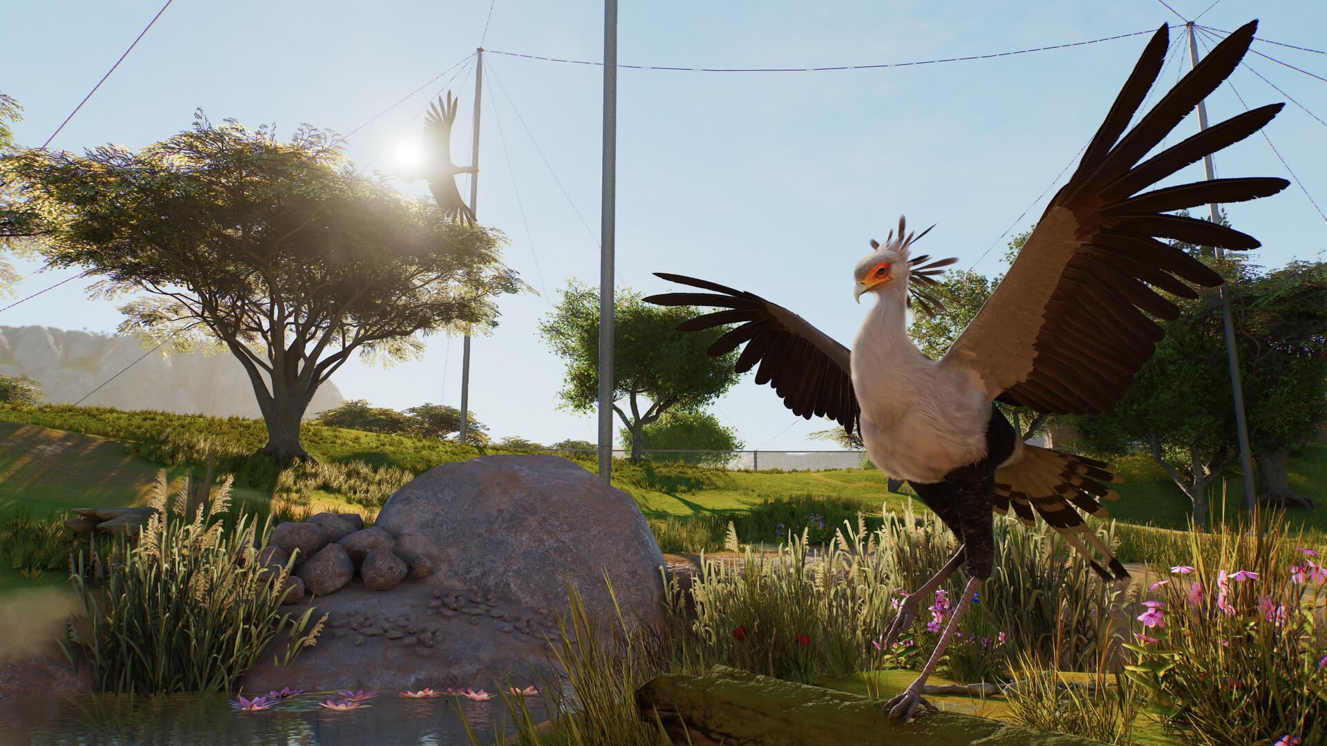 A long-legged bird with brown and white wings spread wide on a grassy savannah slope in Planet Zoo 2.
