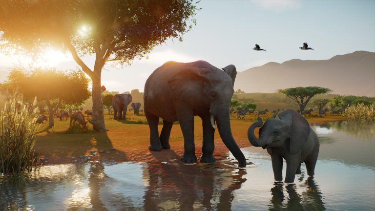 An adult elephant and a calf stand at a waterhole in a sunlit savannah, with more elephants, zebras and two birds behind them