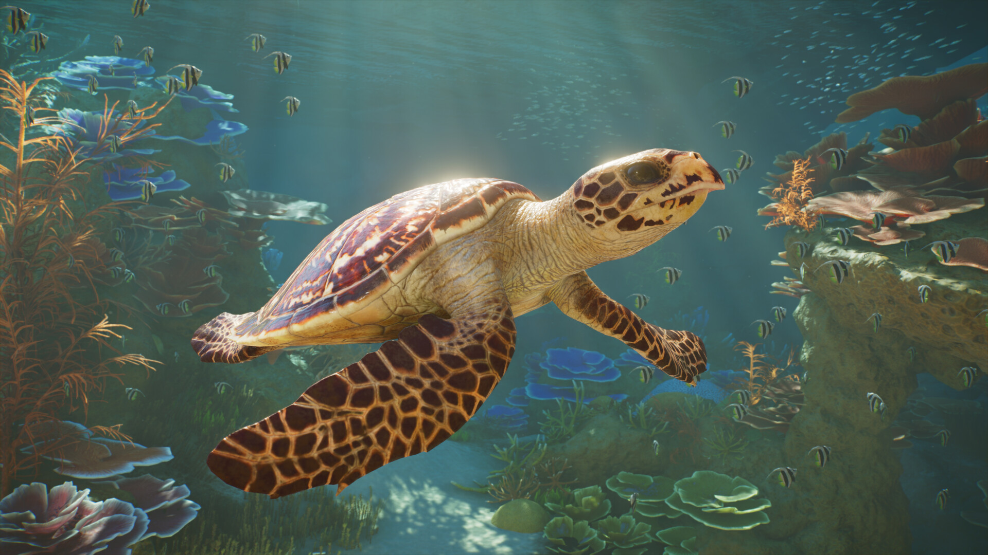 A sea turtle swimming over a coral reef with small striped fish around it, in an underwater scene from Planet Zoo 2