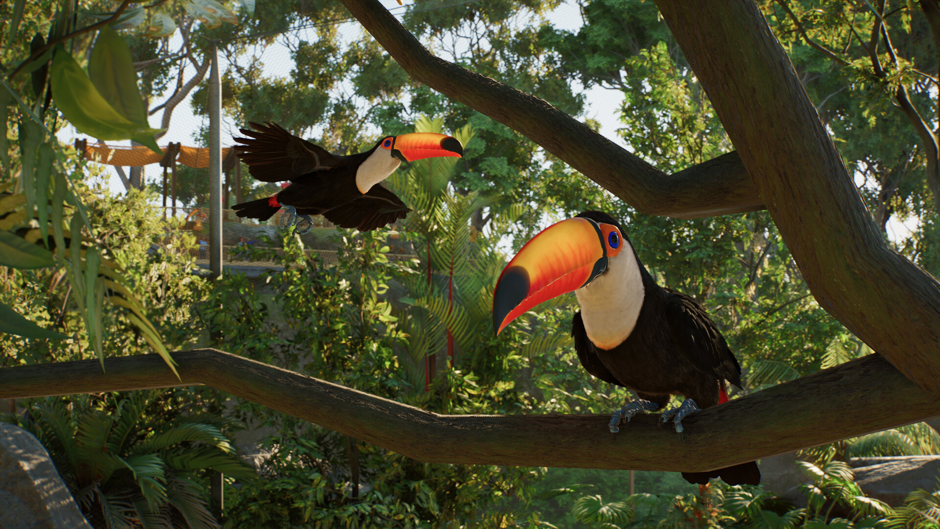 Two toco toucans with orange beaks, one perched and one in flight, among branches and palms in a Planet Zoo 2 aviary