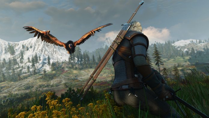 Geralt kneels in a grassy meadow below snowy mountains as a large bird flies past